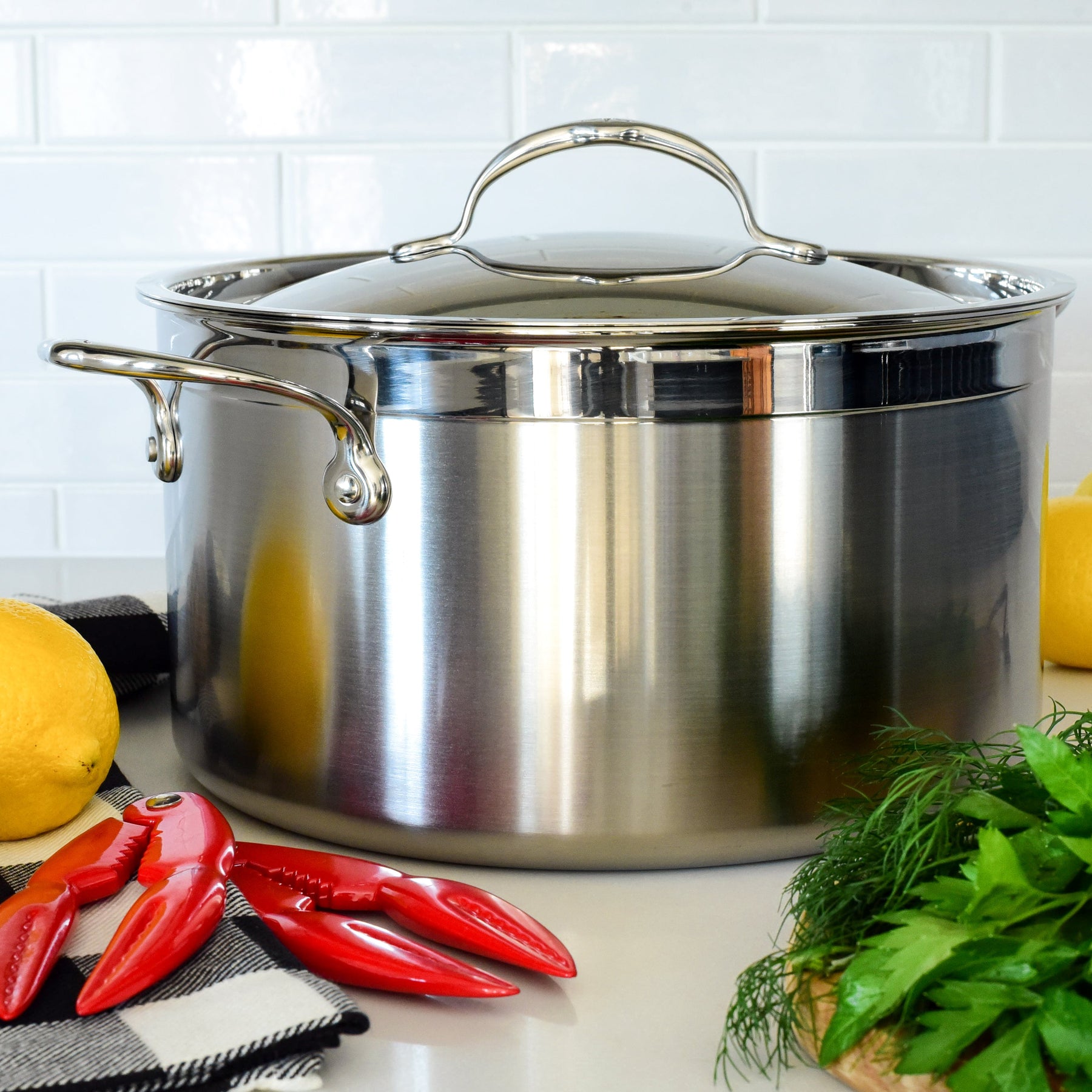 31567 ProBond Induction Stainless Steel Stockpot & Lid - 26cm (7.6L) | Shop ...